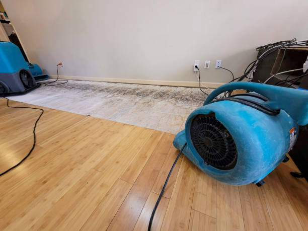 Professional Structural Drying technician working in Mantorville, MN